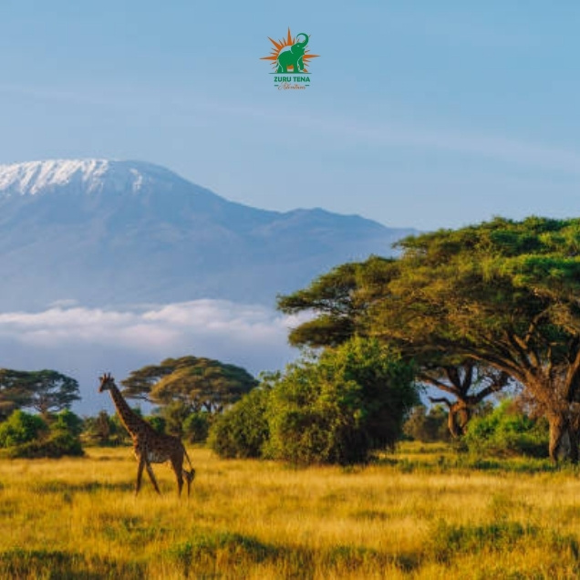 Amboseli National Park