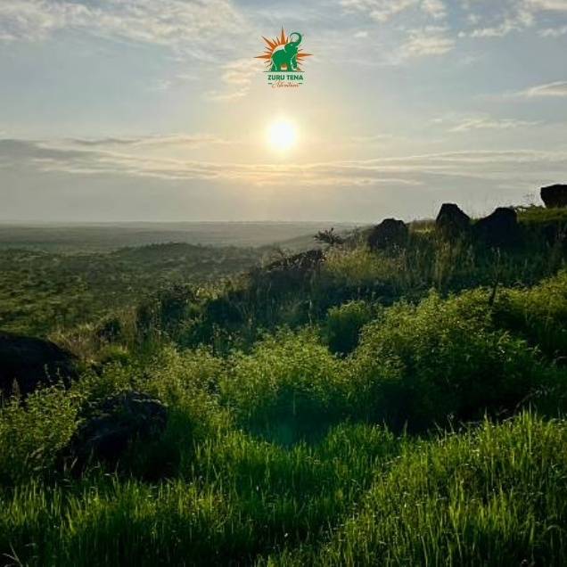 Kilimanjaro National Park-2