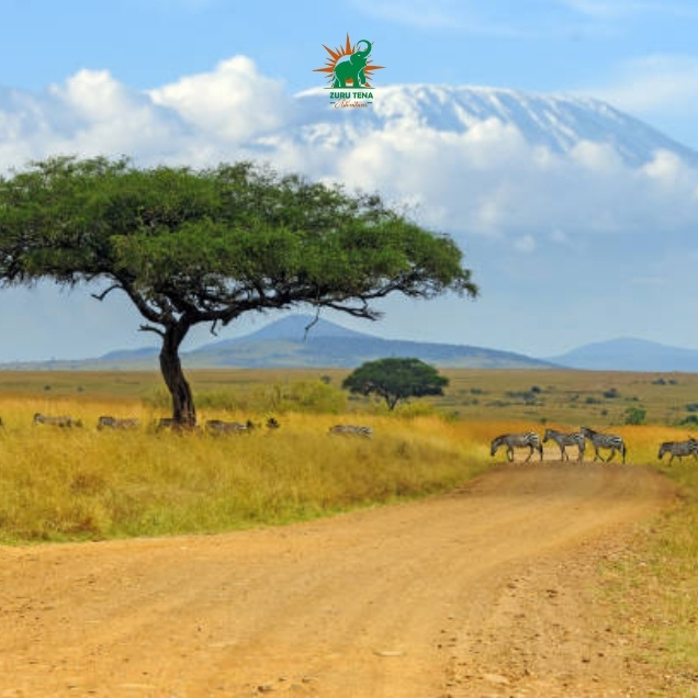 Kilimanjaro National Park