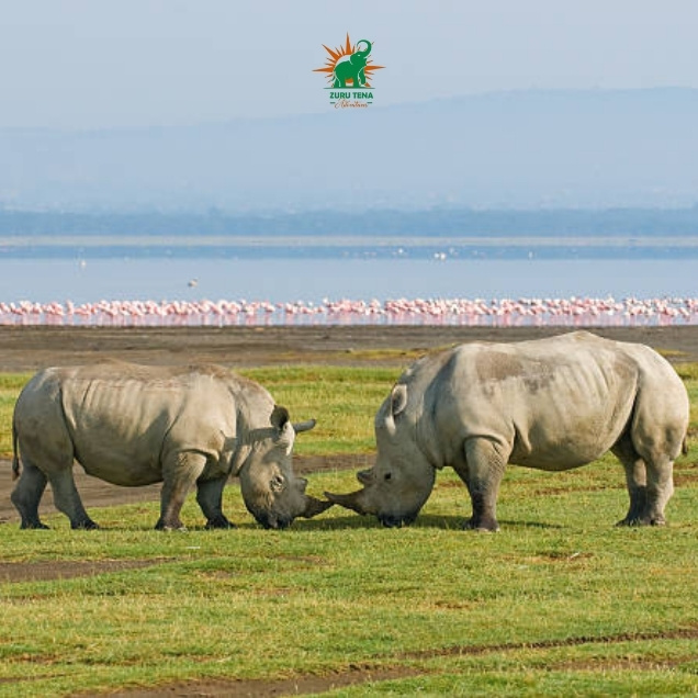 Lake Nakuru National Park (2)