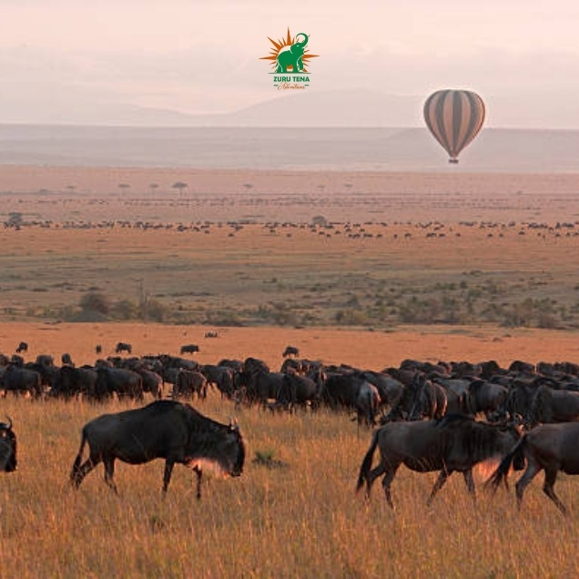 Maasai Mara National Reserve