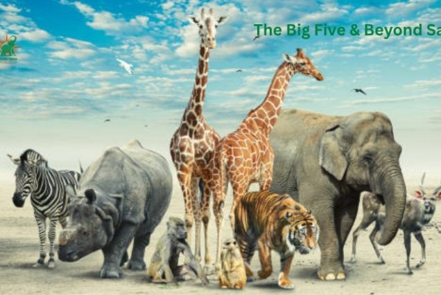 Big Five & Beyond Safari-Kenya